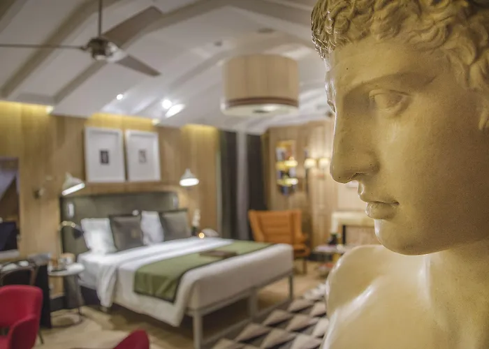 布朗斯中心酒店 酒店