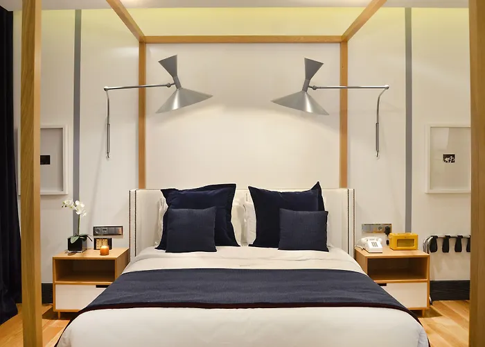 布朗斯中心酒店 4*