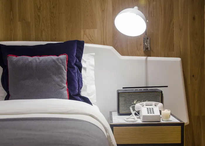 布朗斯中心酒店 4*