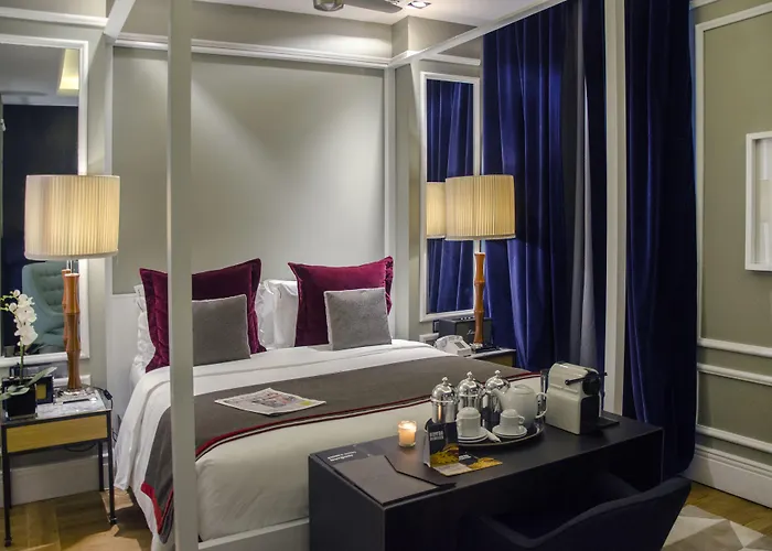 布朗斯中心酒店 4*